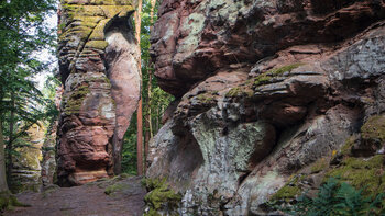 Wanderweg bei den Fladensteinen
