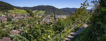 Blick auf Hausach vom Westweg