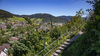 Blick auf Hausach vom Westweg