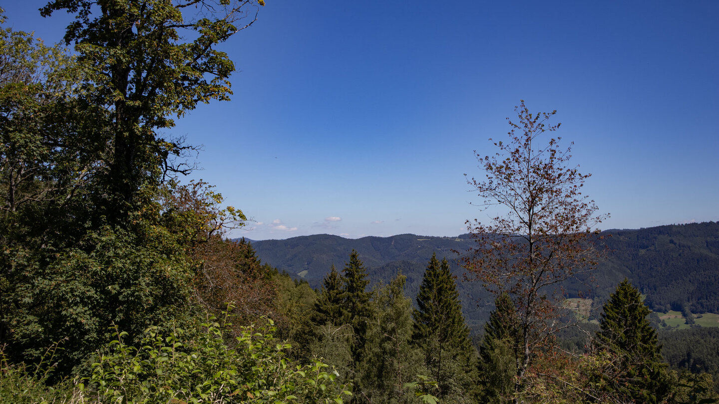 Ausblick vom Büchereck