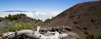 Ausblick über den Krater des Pico Birigoyo zur Caldera de Taburiente