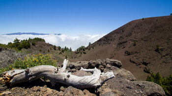 Ausblick über den Krater des Pico Birigoyo zur Caldera de Taburiente