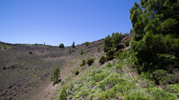 die Kraterlandschaft des Pico Birigoyo