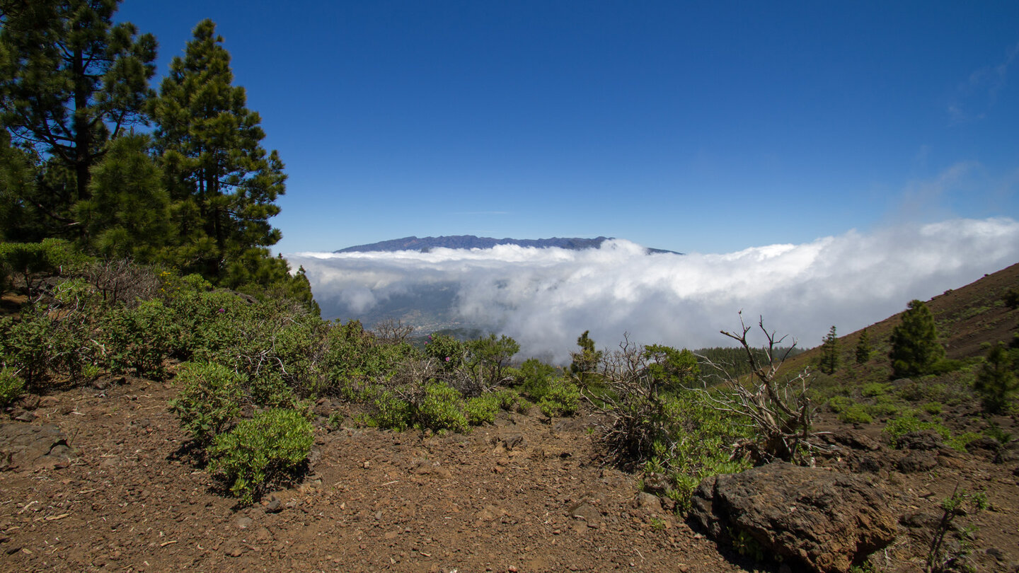 das Wolkenmeer zieht über die Cumbre Nueva in Aridane-tal