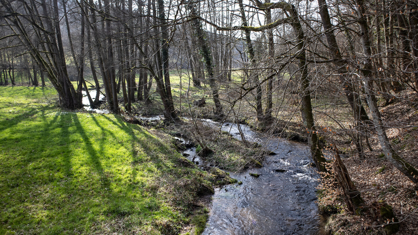 Moosalb bei Fischweiher