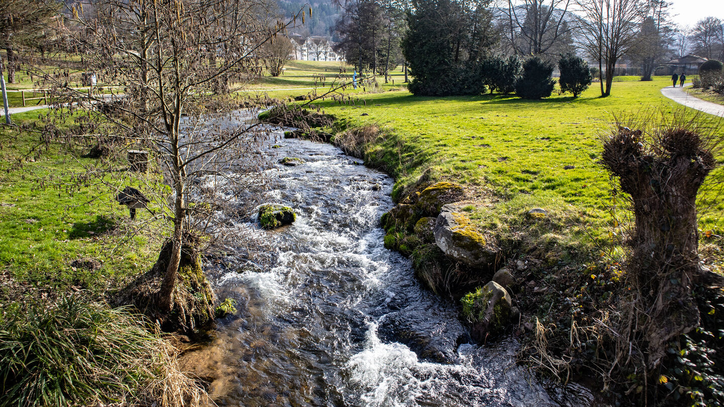die Alb im Kurpark Bad Herrenalb