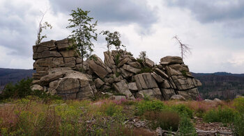 Mäuseklippen bei Schierke im Naturpark Harz