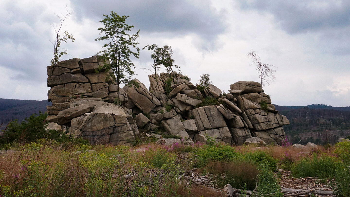 Mäuseklippen bei Schierke im Naturpark Harz