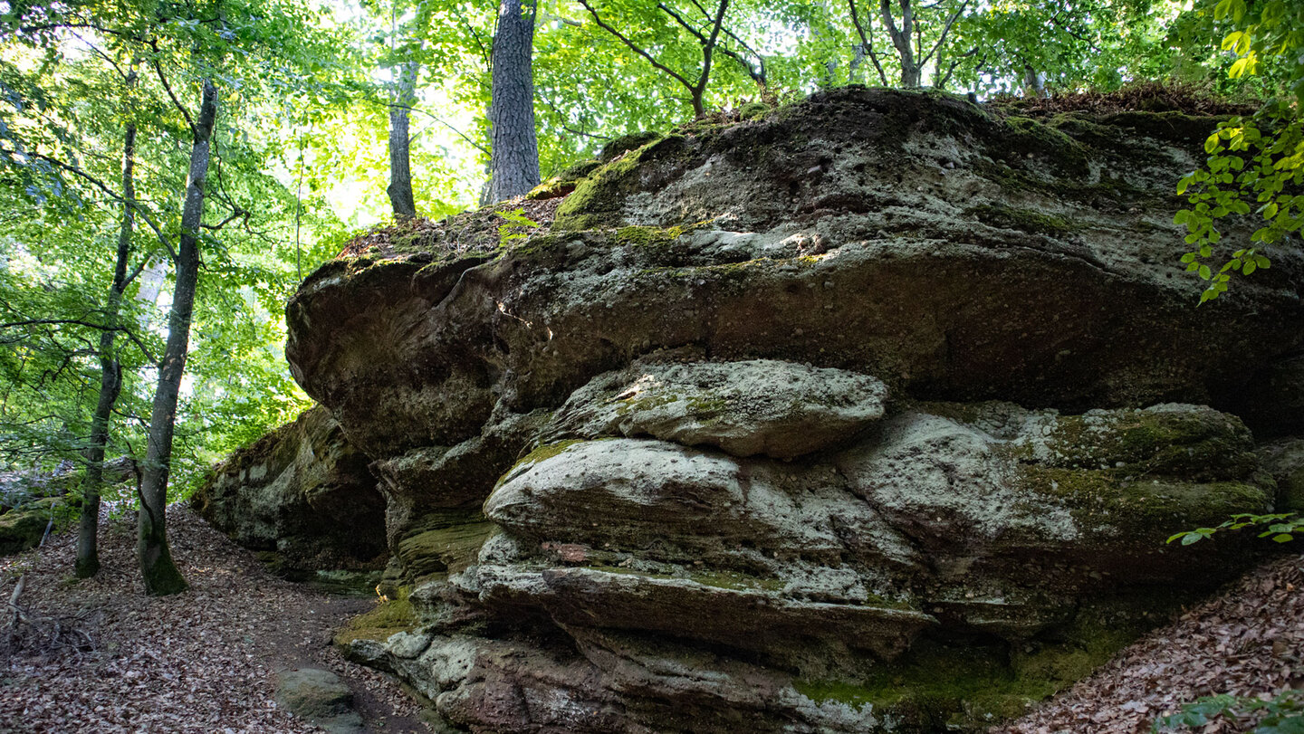 Am Wanderweg zum Drachenfels liegen verwitterte Buntsandsteinformationen im Wald.