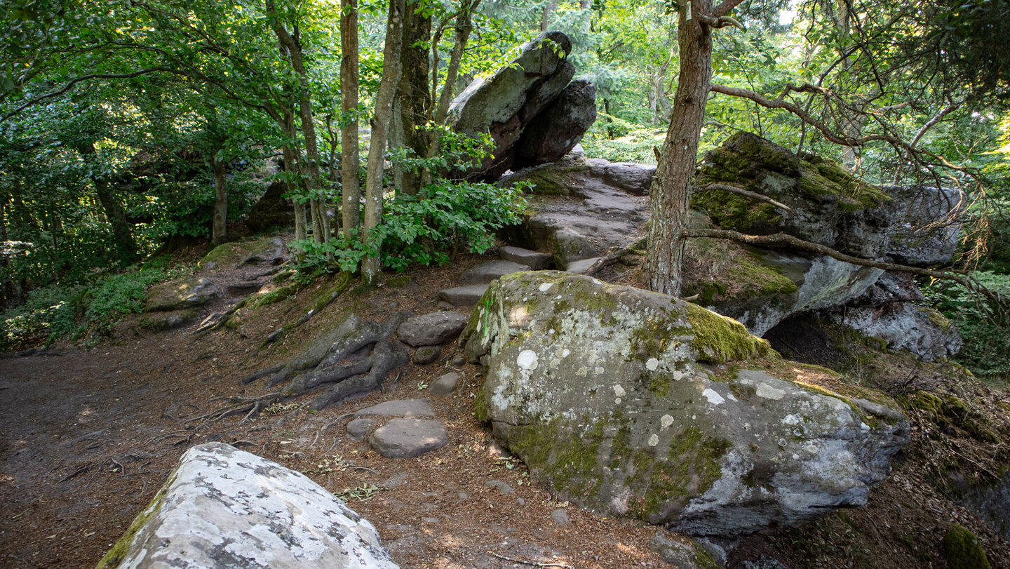 Am Westfels beginnt der Kammweg der über das Gipfelplateau des Drachenfels hinüber zum Südfels führt.
