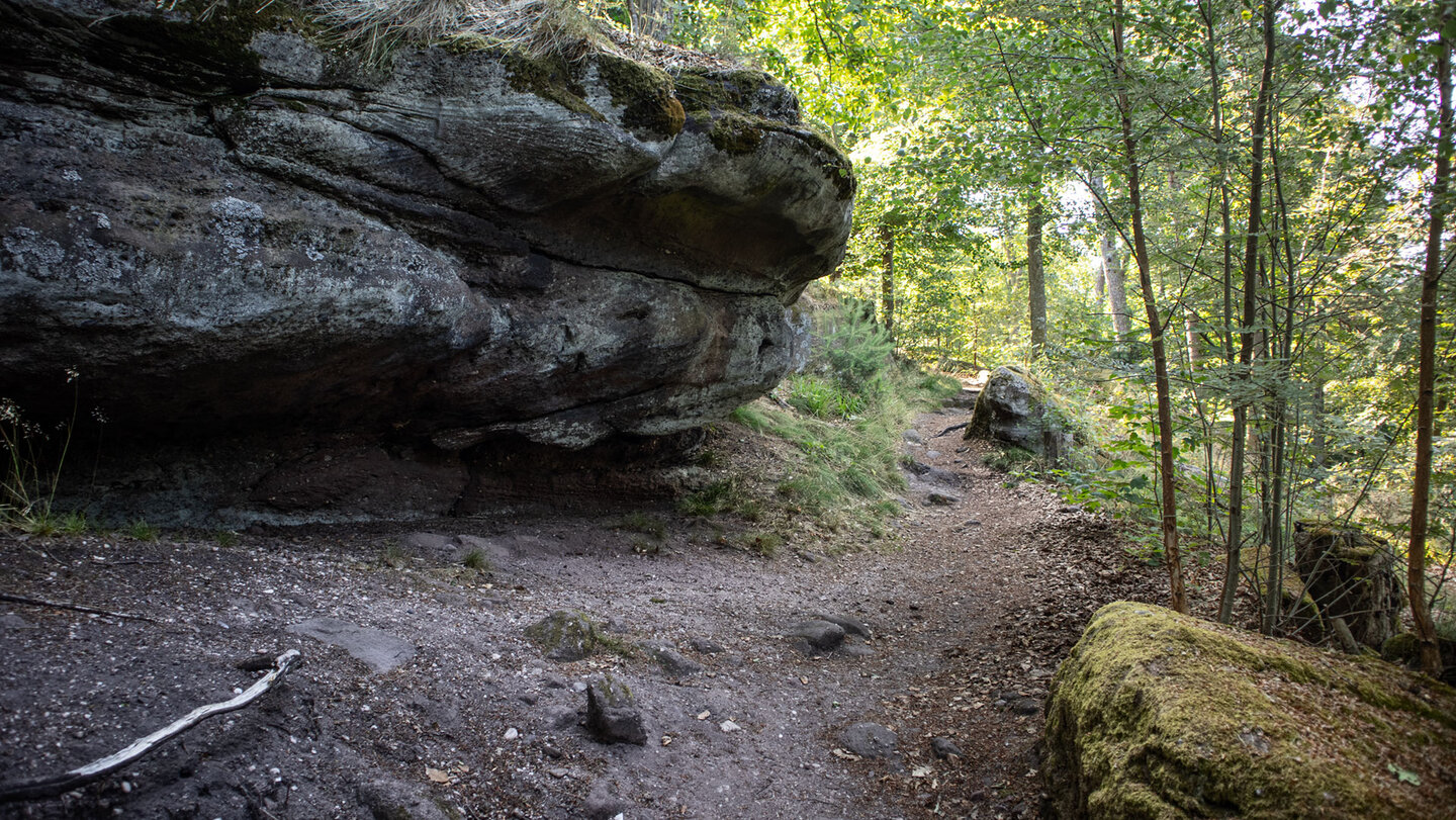 Über das Gipfelplateau des Drachenfels schlängelt sich ein schmaler Pfad zwischen Fels und Wald.