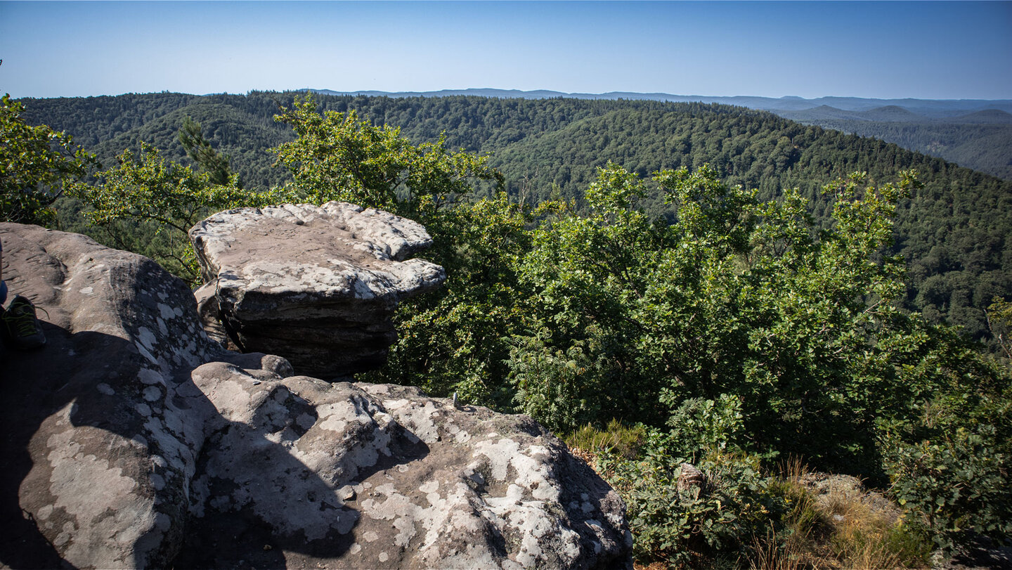 Vom Südfels aus öffnet sich ein 180-Grad-Panorama über das grüne Wäldermeer des Pfälzerwaldes.