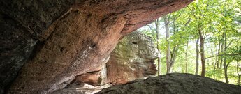 Von der Drachenkammer am Südfels aus öffnet sich der Blick auf den umliegenden Pfälzerwald.