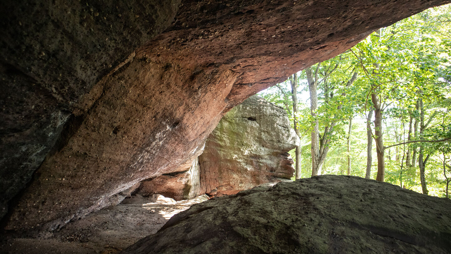 Von der Drachenkammer am Südfels aus öffnet sich der Blick auf den umliegenden Pfälzerwald.