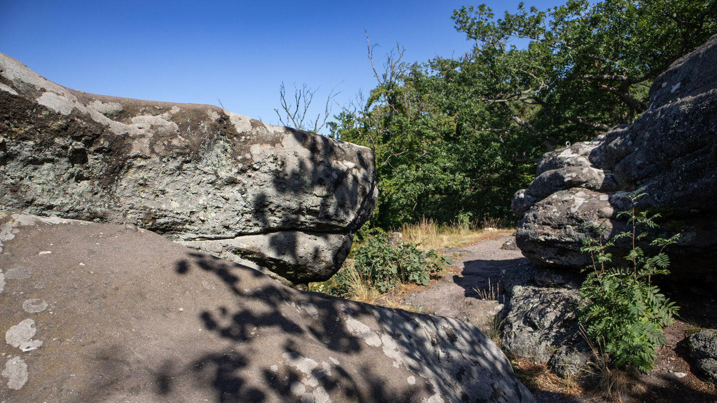 Am Südfels des Drachenfels reihen sich Buntsandstein-Felsformationen aneinander.