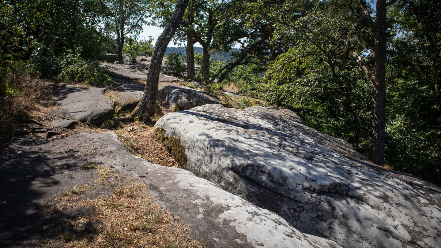 Felsplatten aus Buntsandstein am Südfels des Drachenfels.