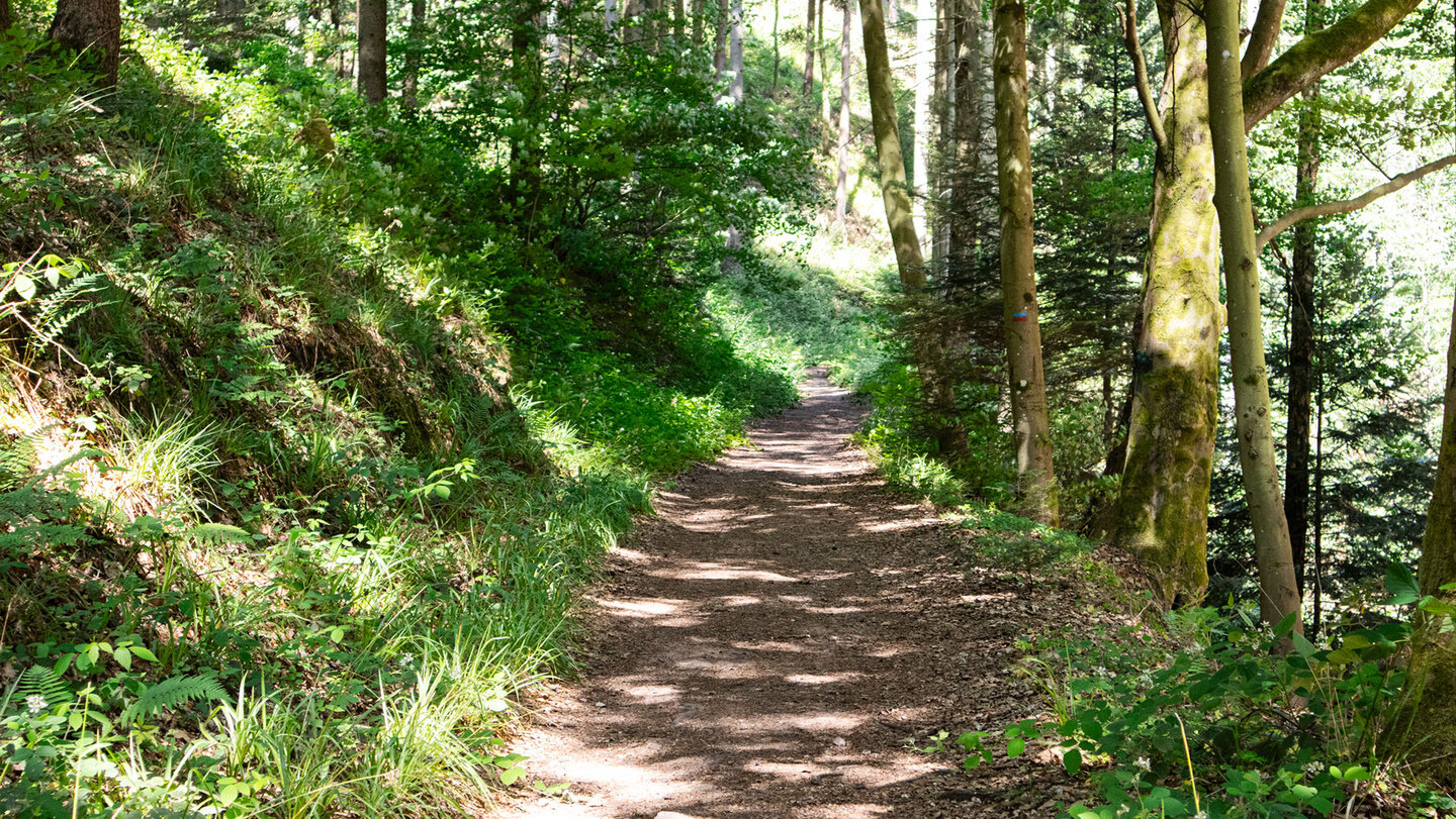 Ein schattiger Wanderweg verläuft entlang des Stütertalbachs zurück zum Ausgangspunkt