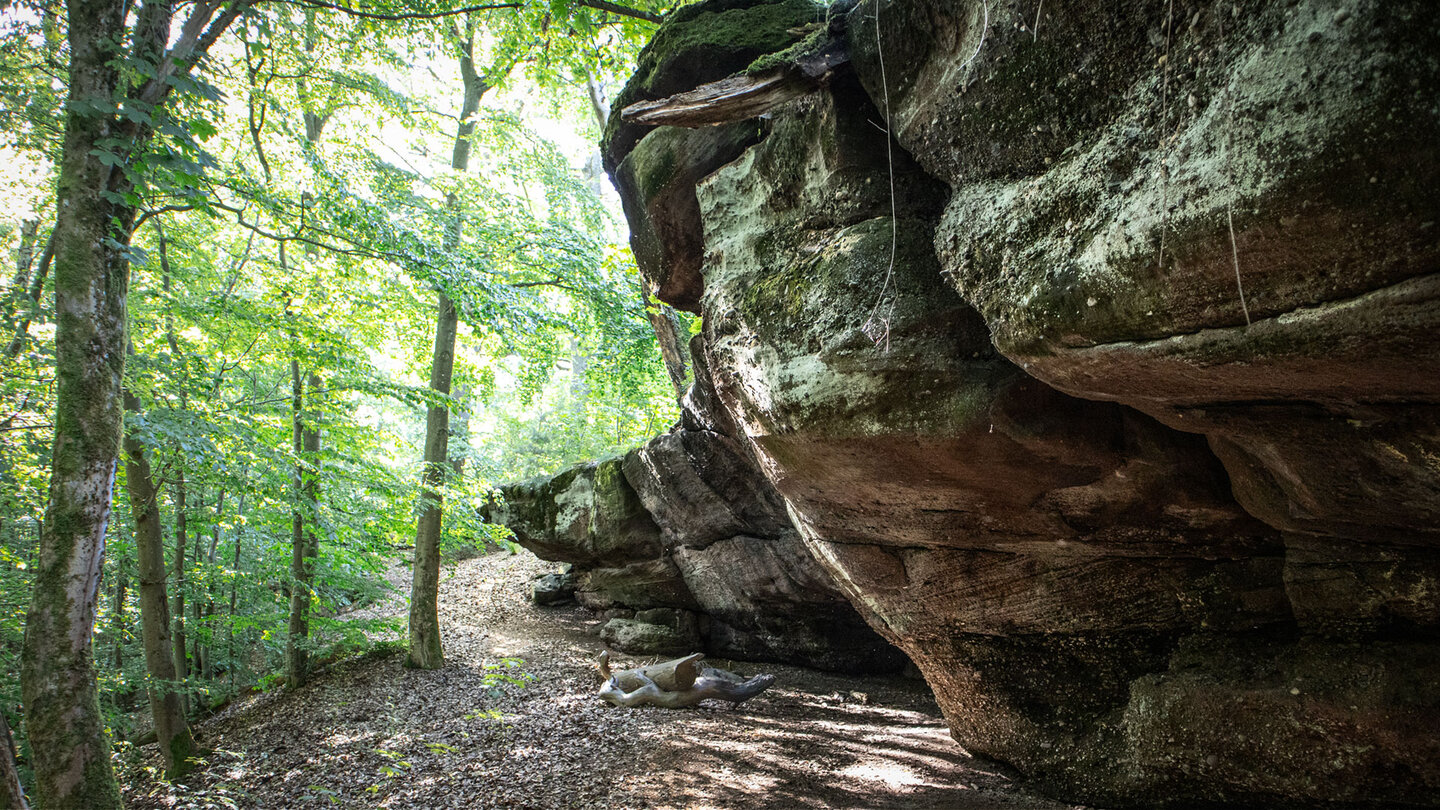 Das langgezogene Buntsandsteinriff am Drachenfels