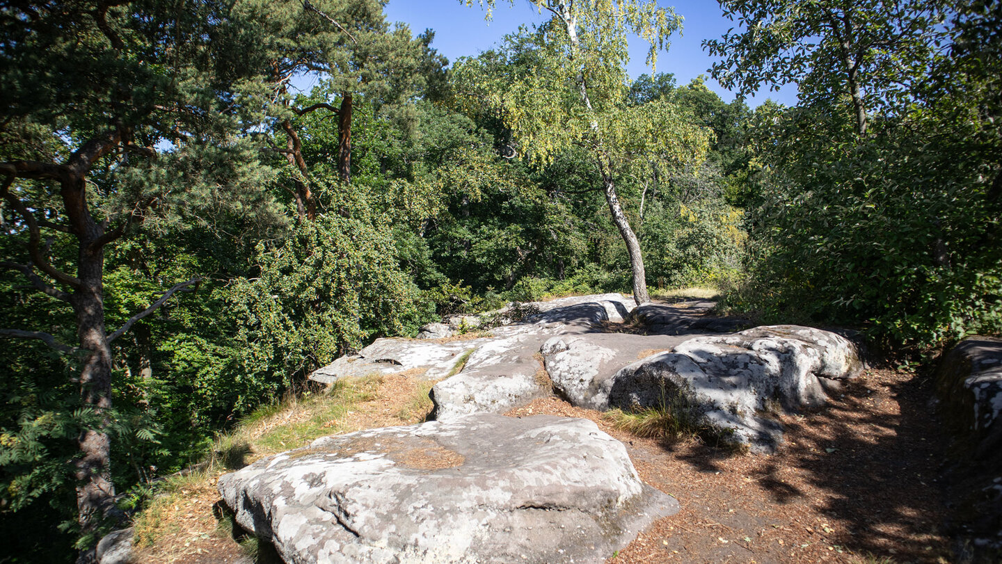 Wanderweg über das Gipfelplateau des Südfels am Drachenfels.