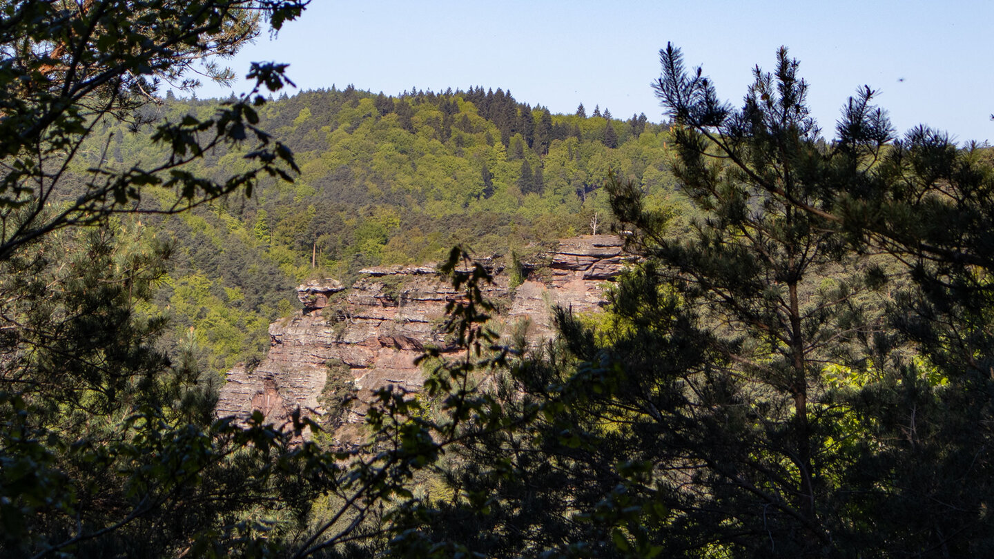 Backelstein-Blick am Hauensteiner Schusterpfad