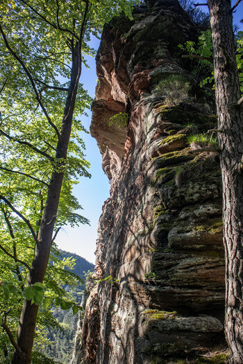 steile Felswand am Backelstein