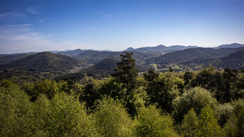 Blick über Berge und Täler des Pfälzerwalds vom Hühnerstein bei Hauenstein