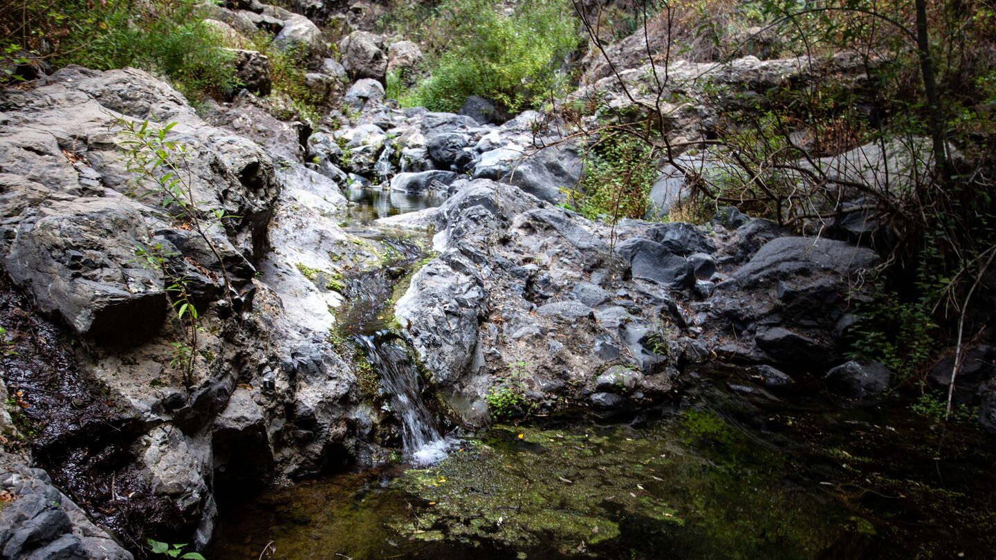 Bachlauf entlang des Wanderwegs