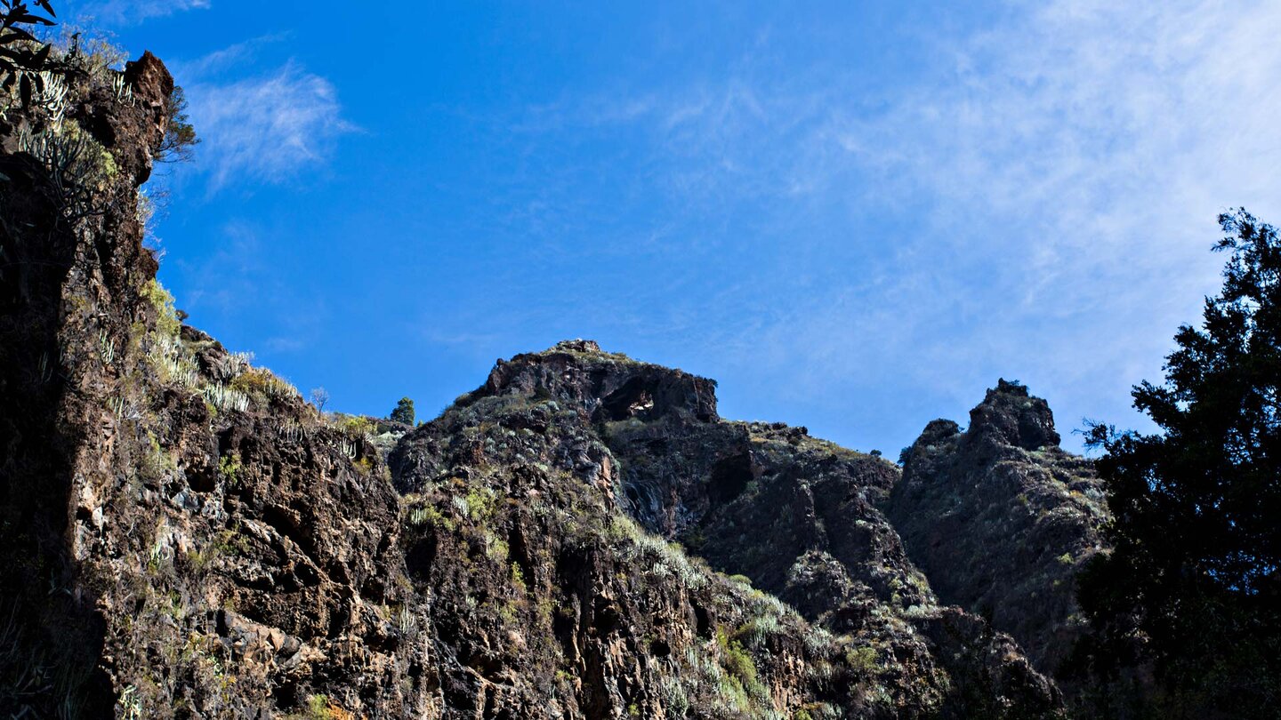 Ausblick vom Wanderpfad auf die Steilwände der Schlucht