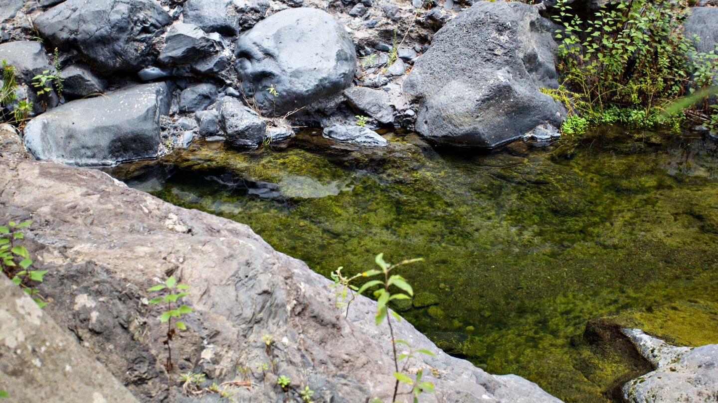 Bassin am Wasserlauf im Barranco del Infierno Wasserlauf im Barranco del Infierno