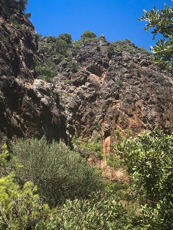 imposante Felswände hinter Olivenhainen