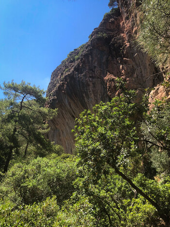 Kiefern und Eichen in der Lisos Schlucht