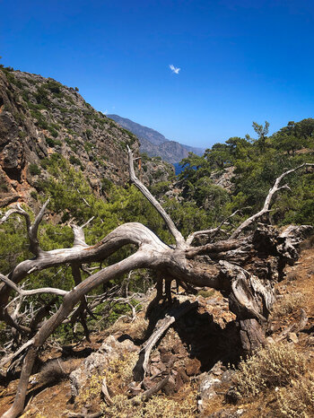 Küstenpanorama mit Blick auf das Libysche Meer