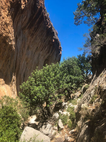 Wegverlauf zwischen Felsformationen