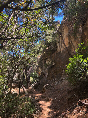 Pfad unterhalb der imposanten Felswände der Lisos-Schlucht