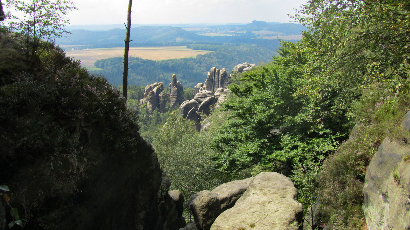 Blick auf Felsnadeln der Schrammsteine im Elbsandsteingebirge Felsnadeln der Schrammsteine im Elbsandsteingebirge