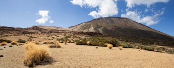 das Teide-Massiv mit Montaña Blanca vom Wanderweg 6 Montaña de los Tomillos