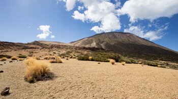 das Teide-Massiv mit Montaña Blanca vom Wanderweg 6 Montaña de los Tomillos