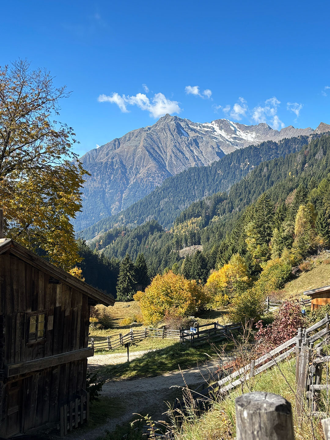 Bergpanorama an der Leiteralm