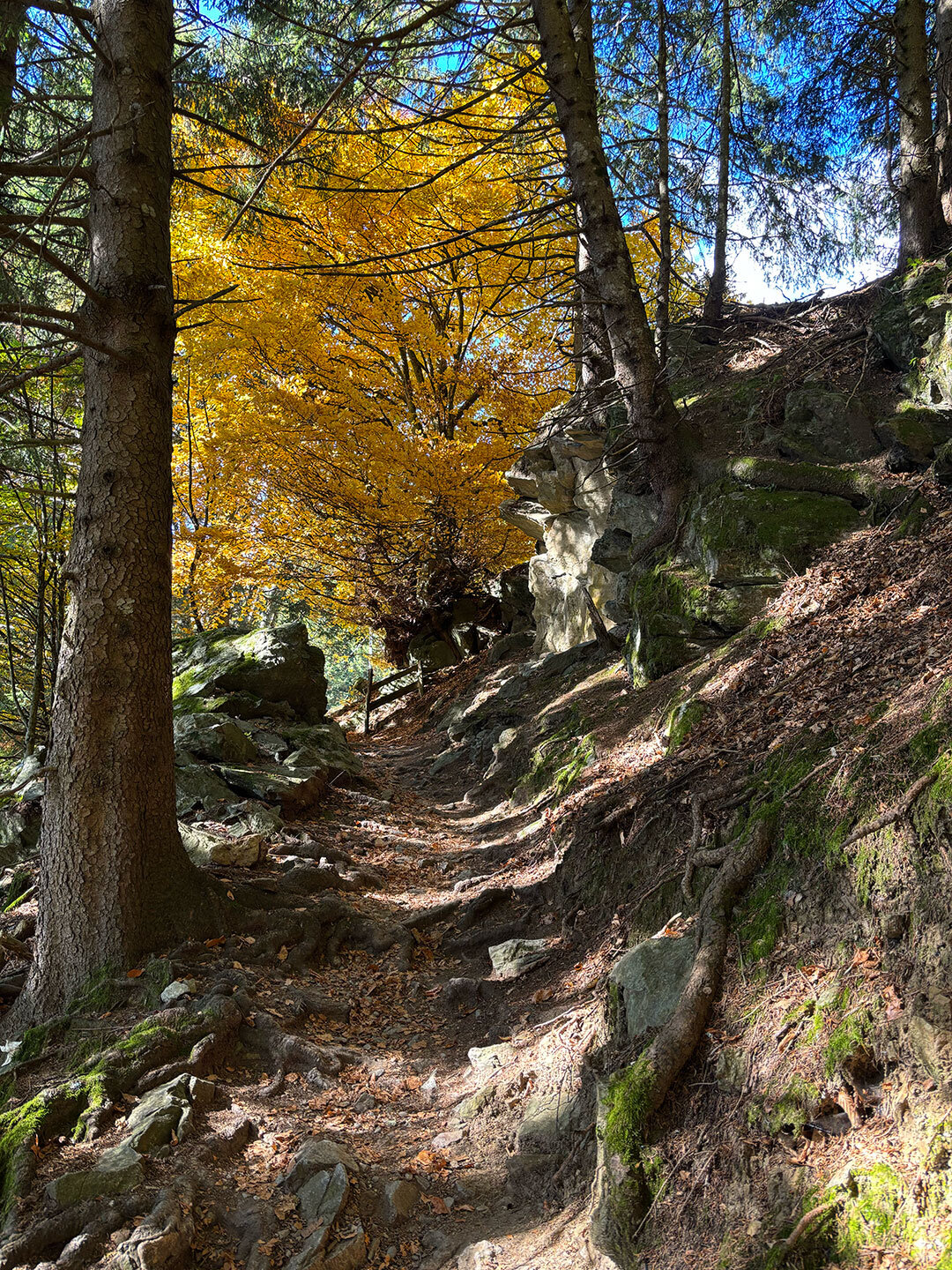 Abstieg zum Vellauer Felsenweg