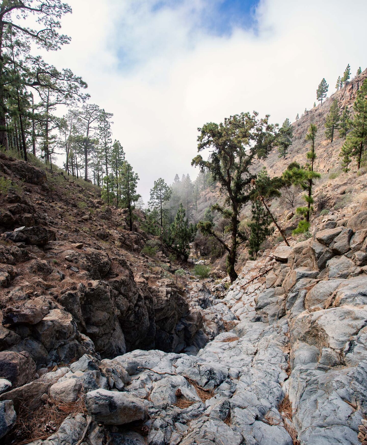 das Barranco de Tágara de Guía bei der Wanderung in der Schlucht