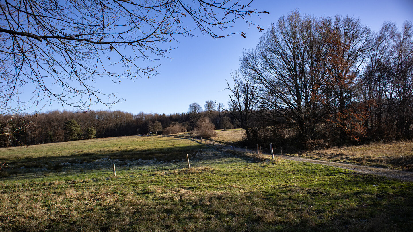 Wanderweg am Völkersbacher Festplatz