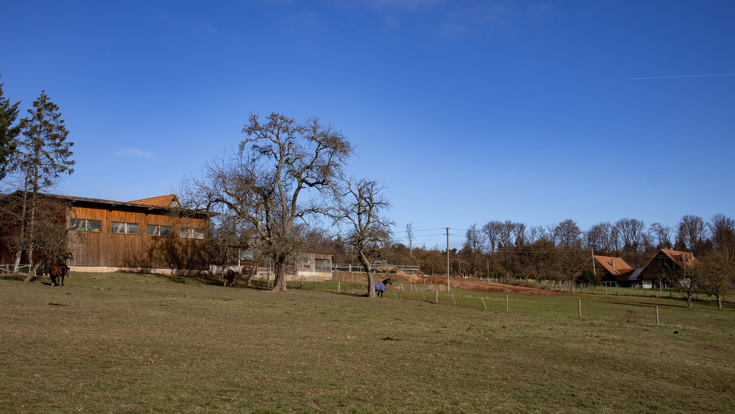 Weiden am Rimmelsbacher Hof
