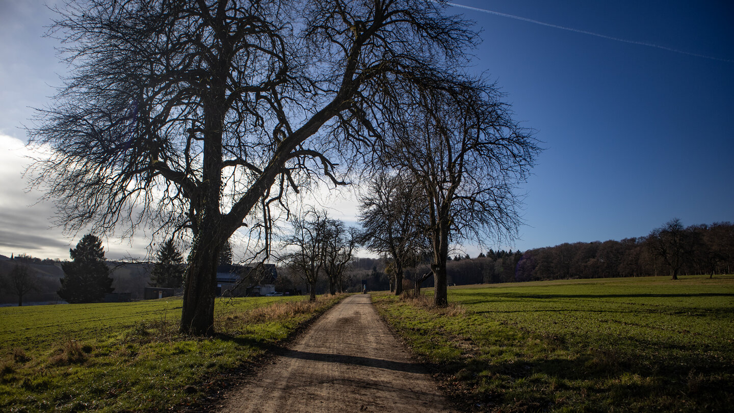 Hochplateau am Rimmelsbacher Hof