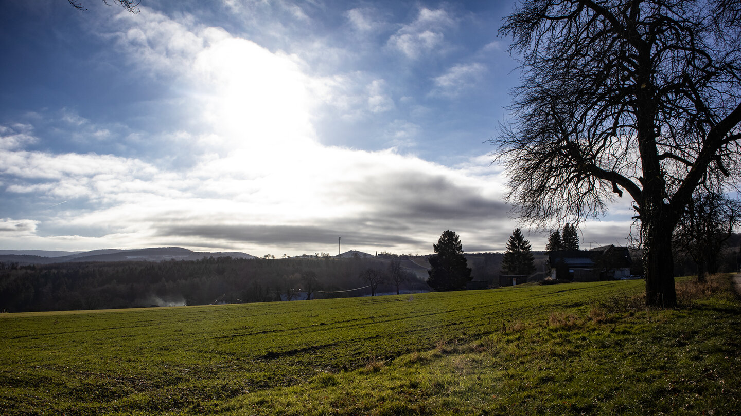 Panoramablick über den Schwarzwald mit dem Mahlberg