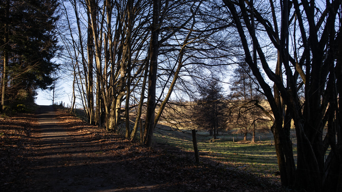 Völkersbacher Rundweg Schwarzwald