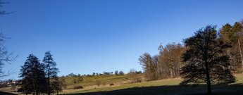 Streuobstwiesen und Viehweiden um Völkersbach
