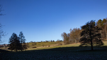 Streuobstwiesen und Viehweiden um Völkersbach