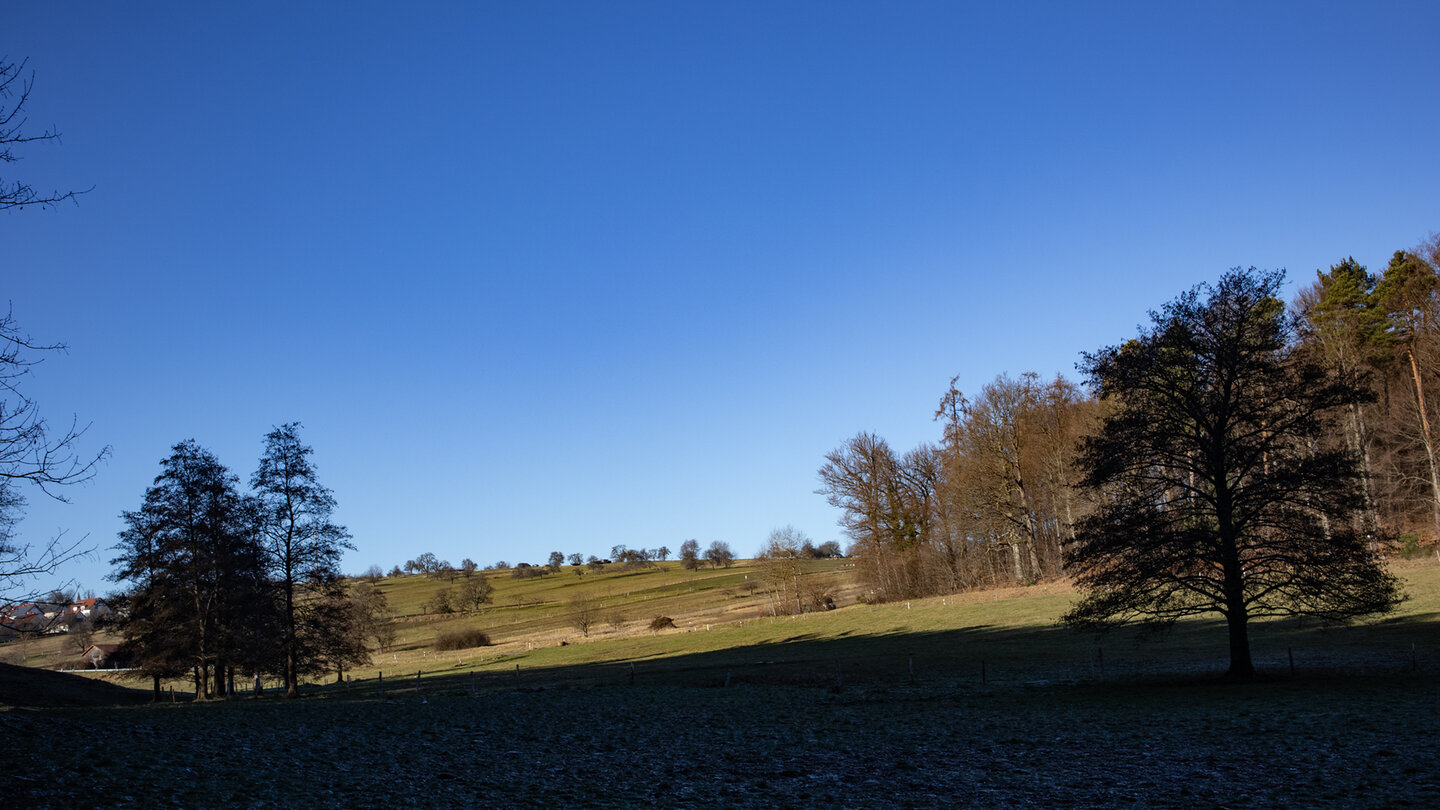 Streuobstwiesen und Viehweiden um Völkersbach