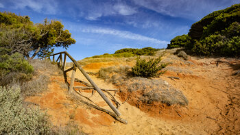 wandern zwischen Sand und Pinienwald bei Los Caños de Meca