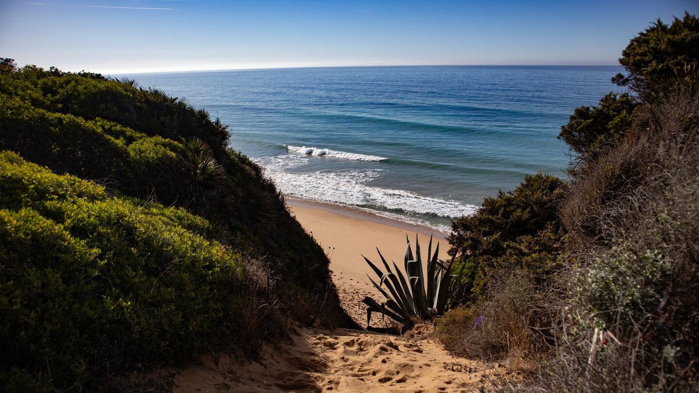 Sandstrand Playa del Castillejo bei Los Caños de Meca